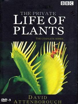 植物私生活